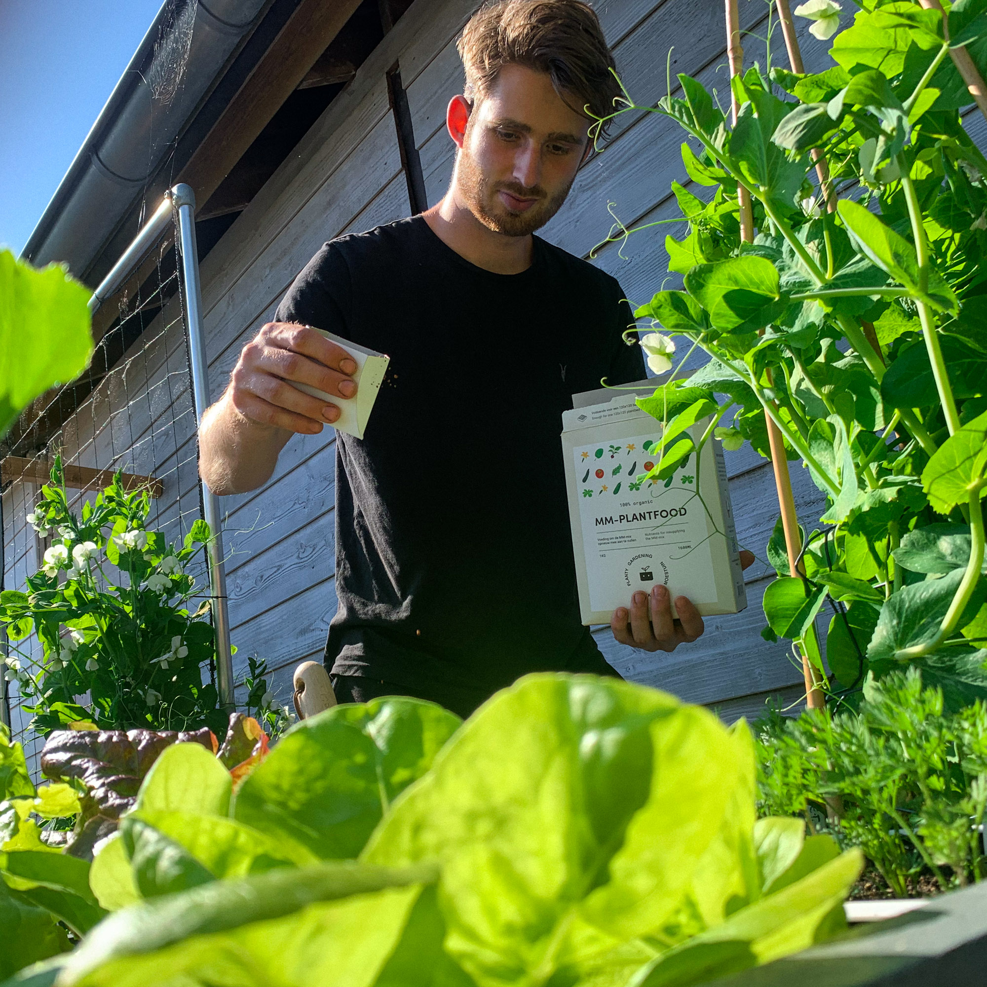 Vul na het leeg-oogsten van een vak wat Makkelijke Moestuinvoeding toe