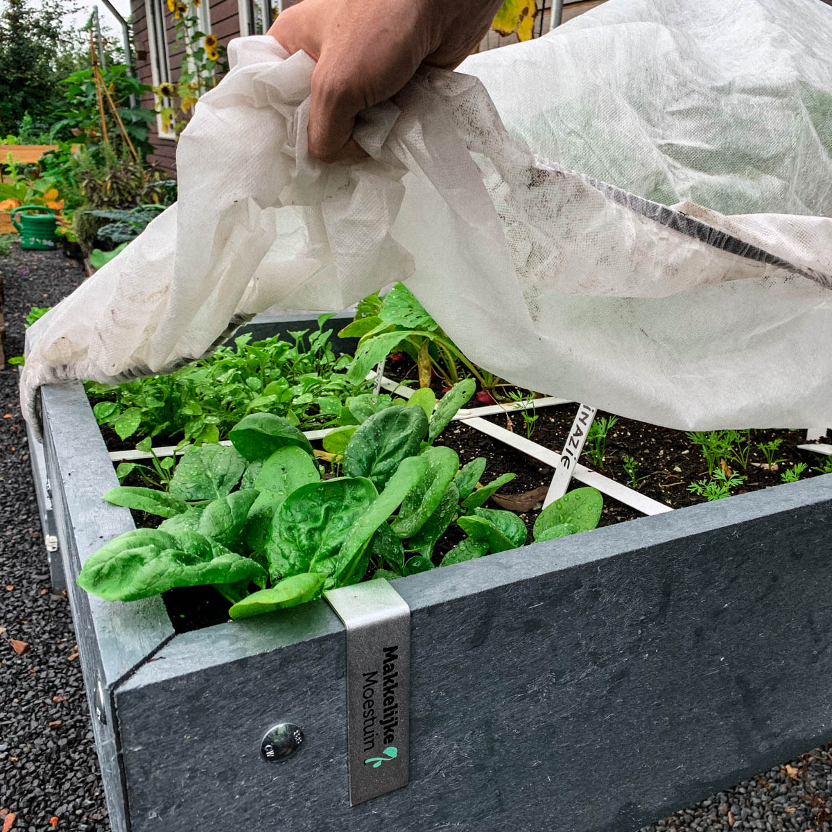 An MM-Muts crop cover helps extend the growing season
