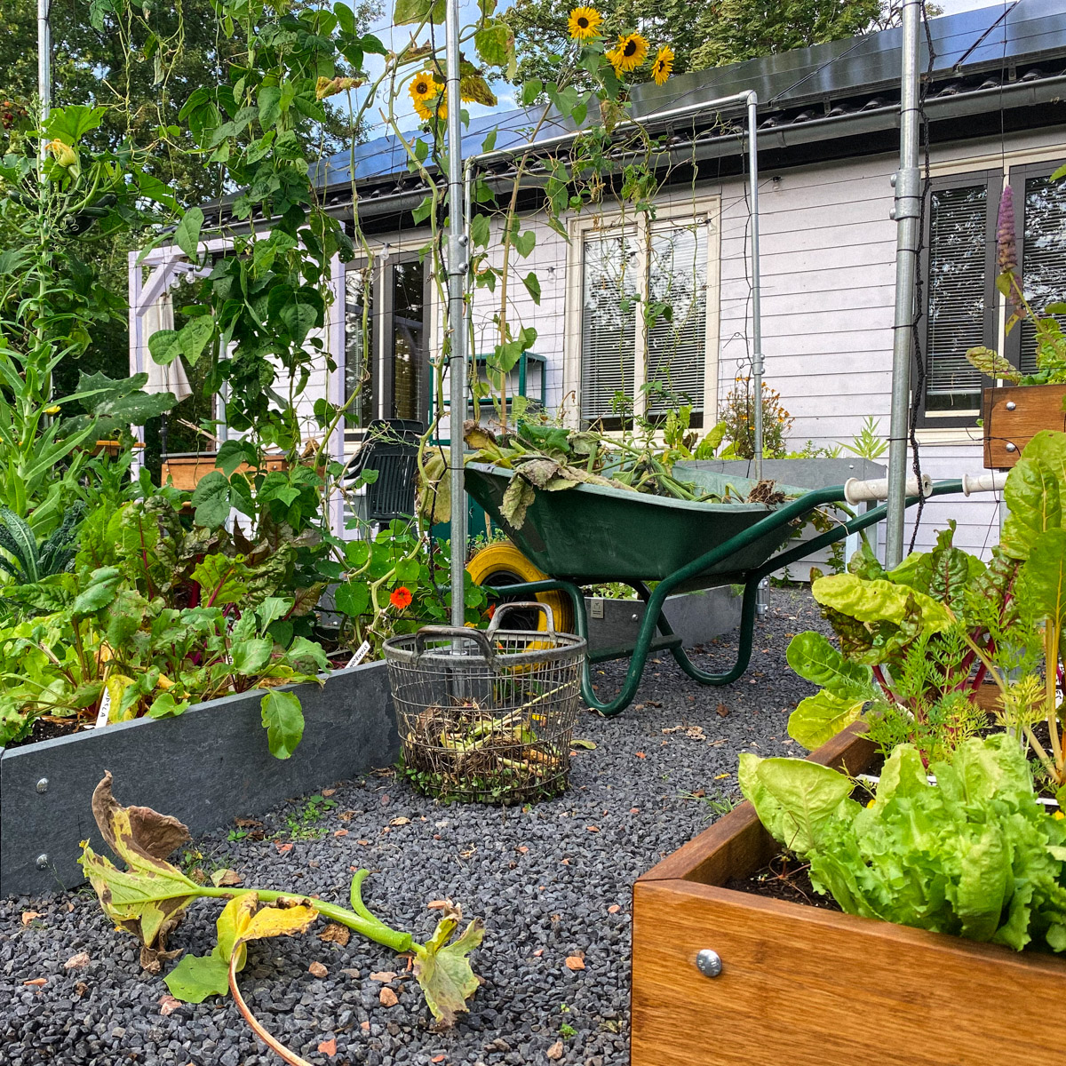 Clean up round in October in our Planty Garden
