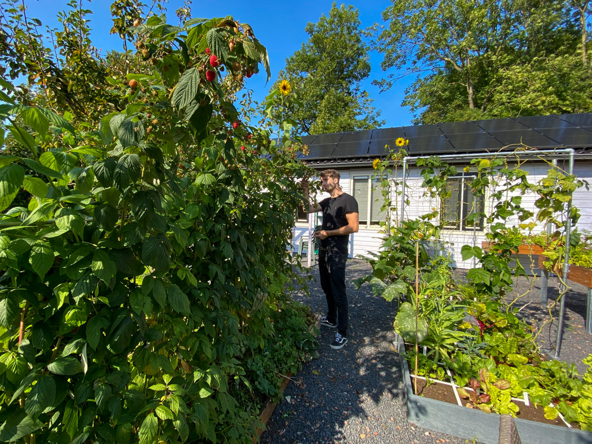 Enjoying the fall harvests in the Planty Garden