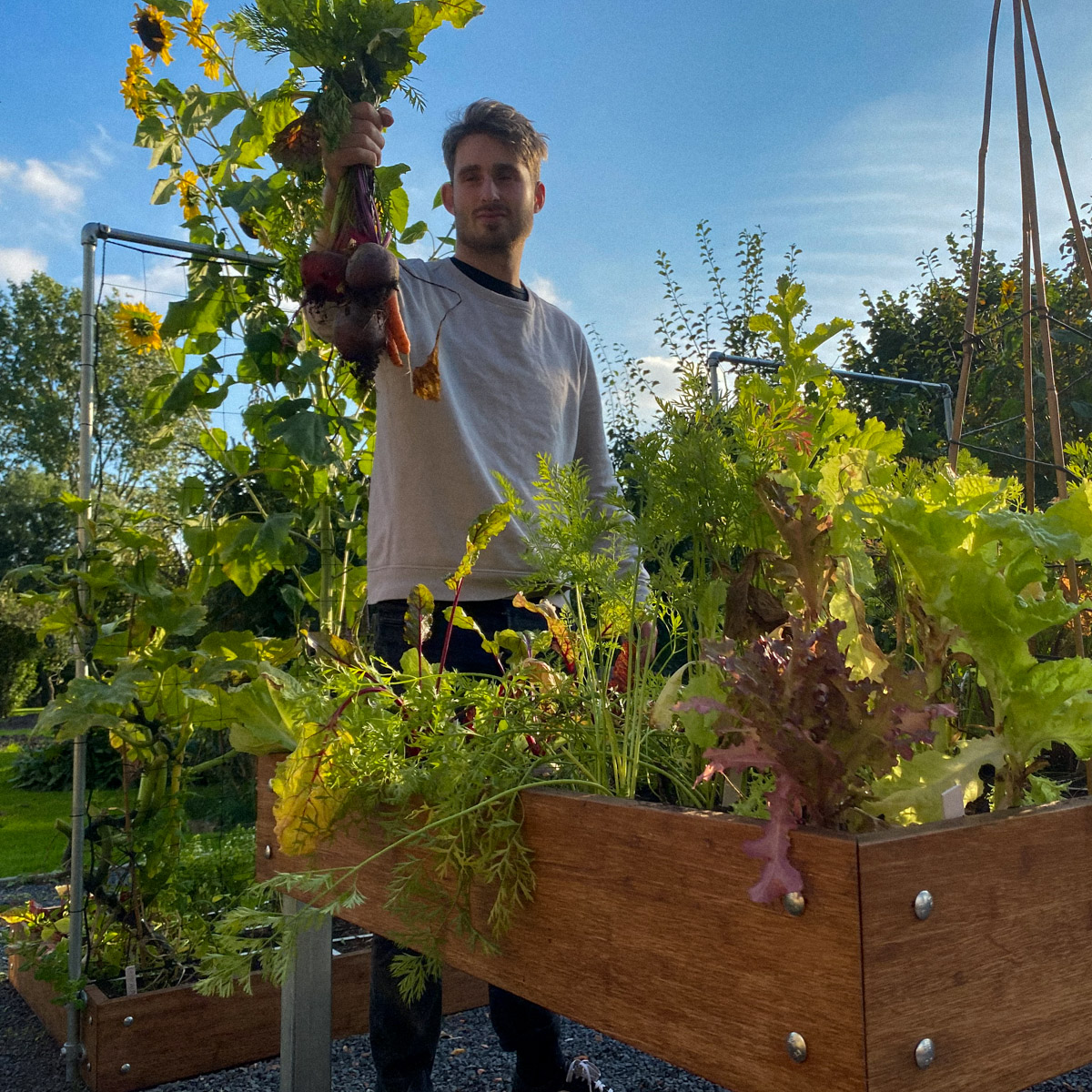 Beets and carrots are on the menu tonight