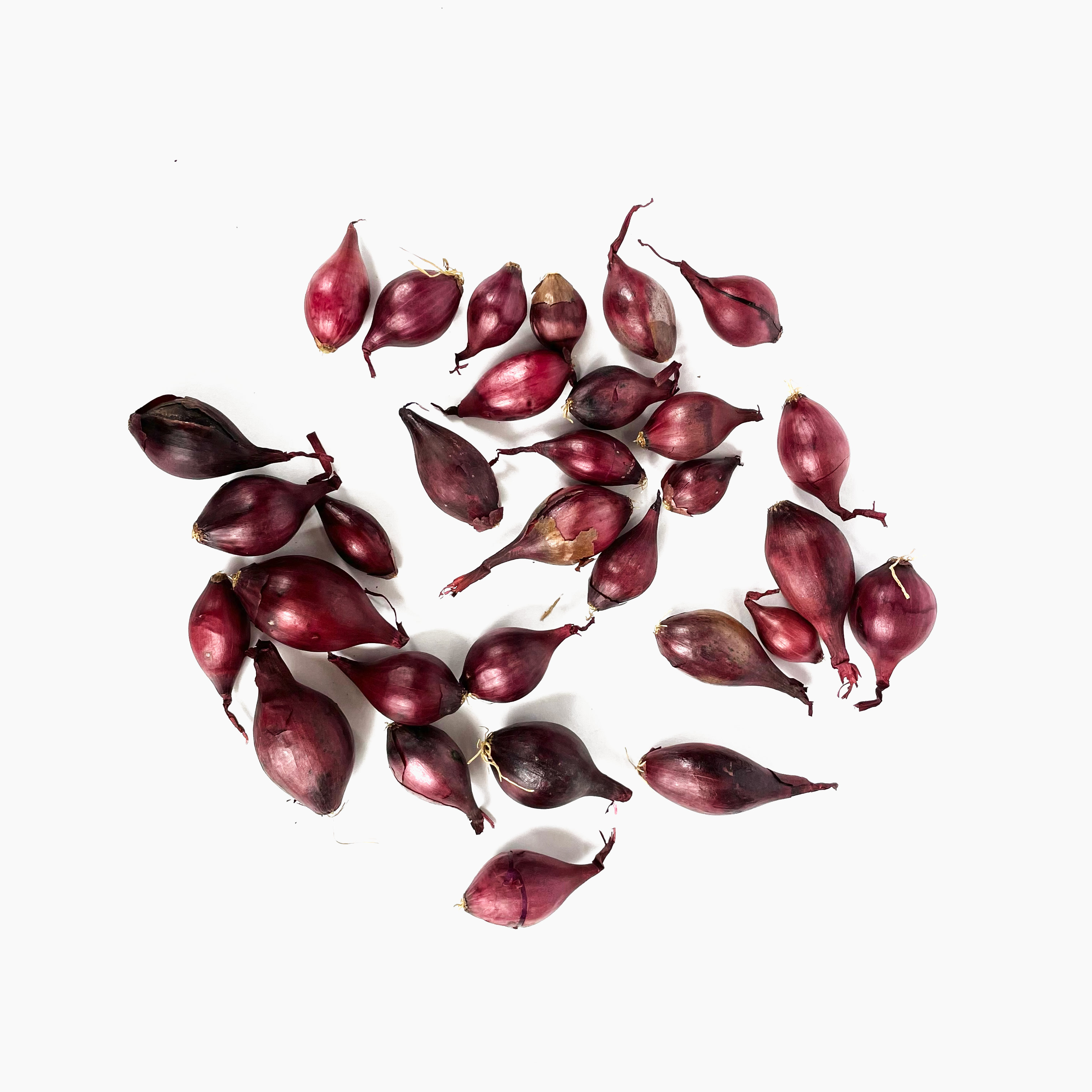 Red Winter Onions