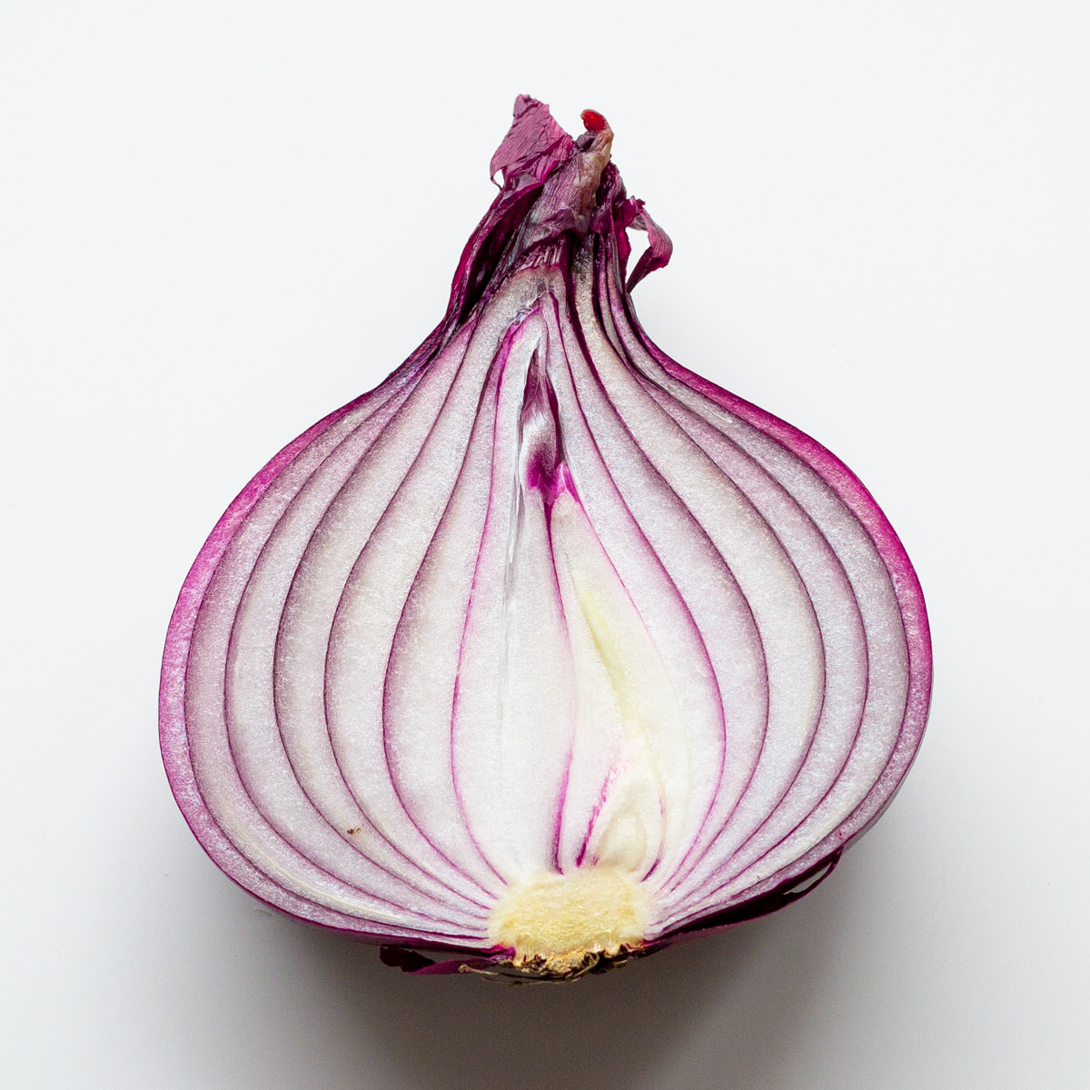 Red Winter Onions