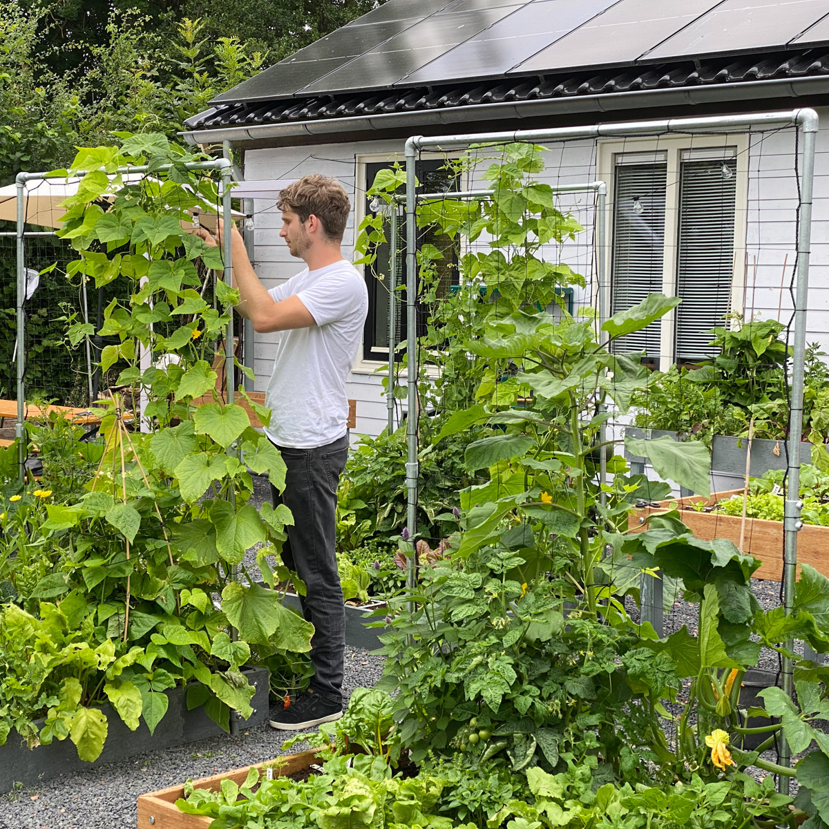 Mijn Makkelijke Moestuin