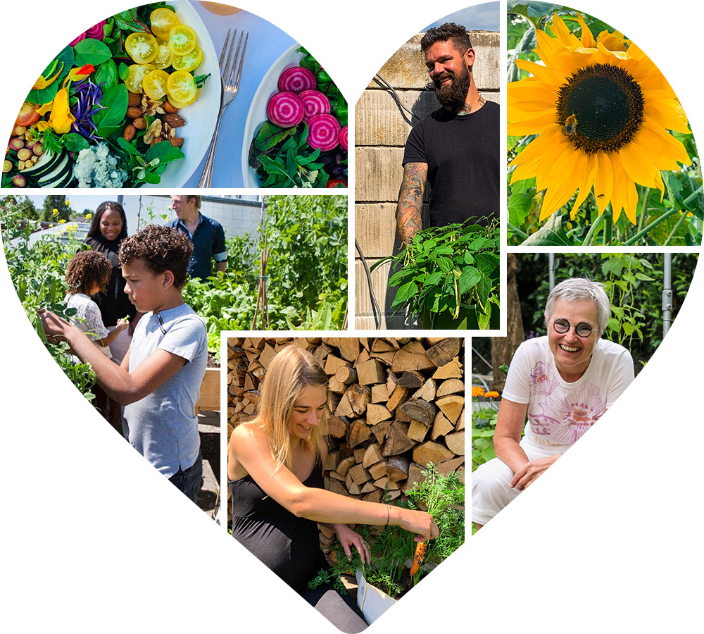 Makkelijke Moestuin community feed in the app