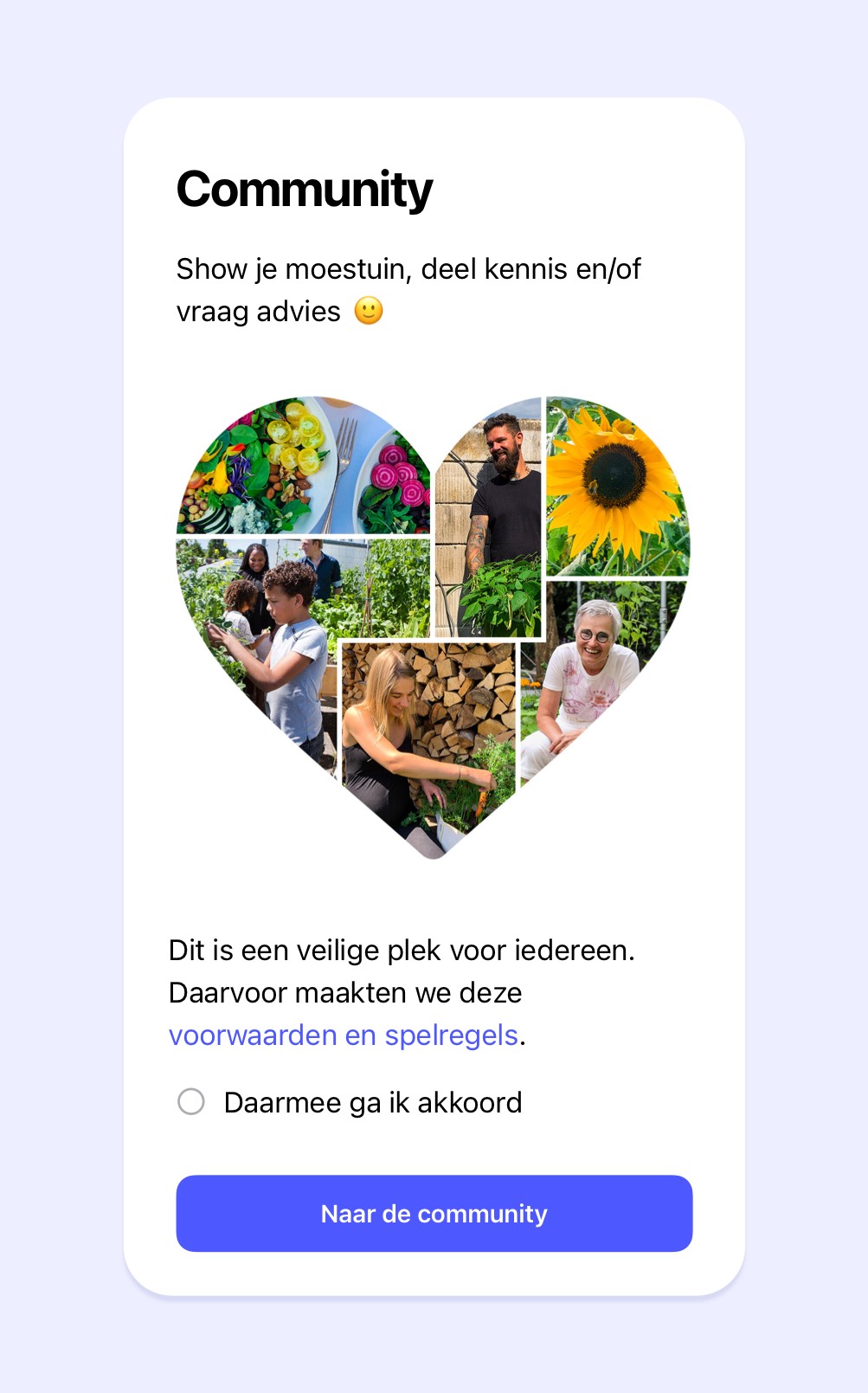 The community terms and rules in the app