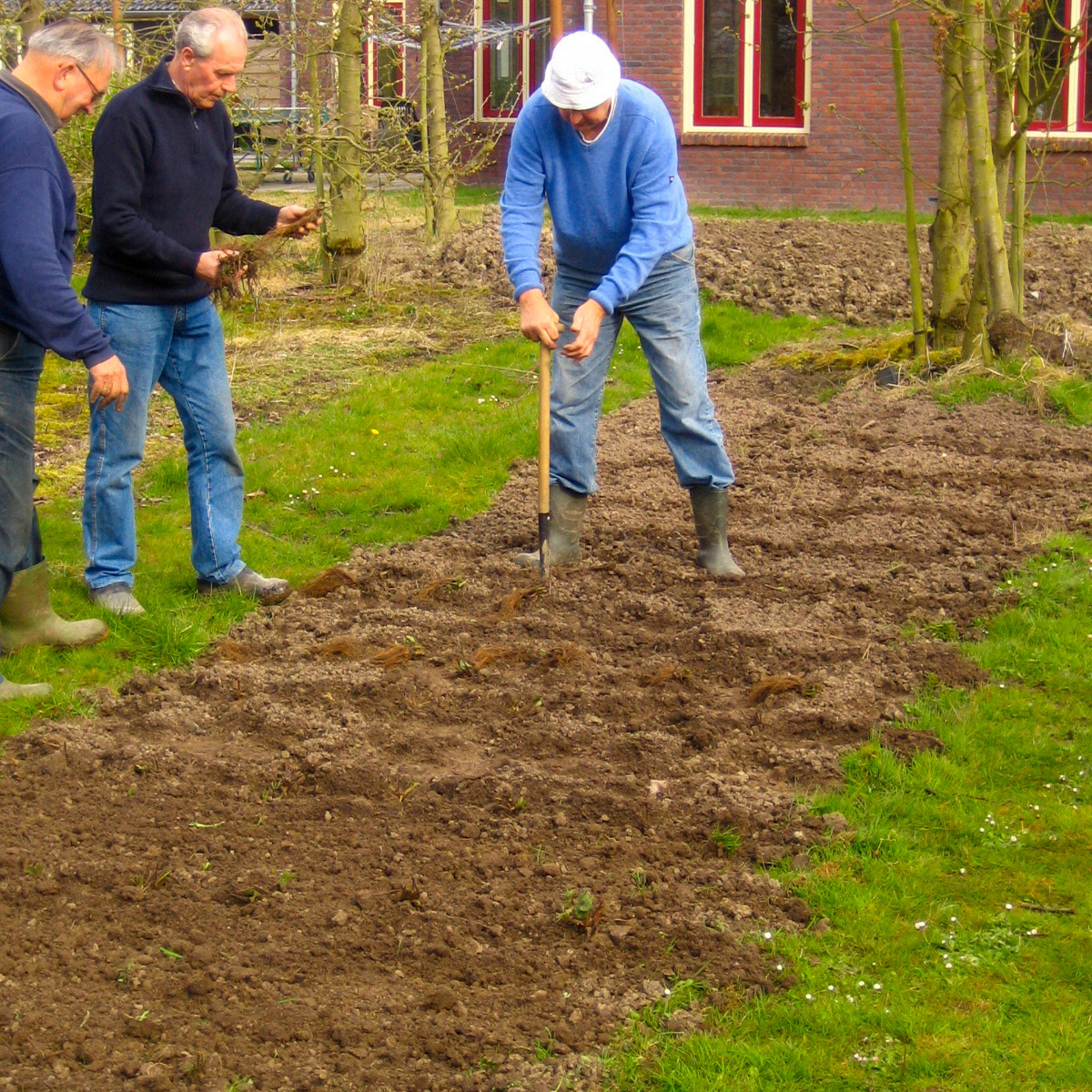 A traditional vegetable garden means lots of digging