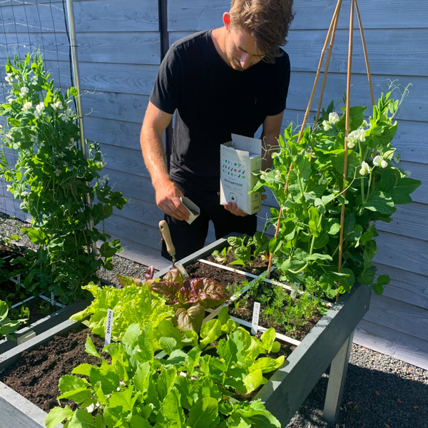 In de Makkelijke Moestuin vul je na het leegoogsten van een vak de voeding weer aan