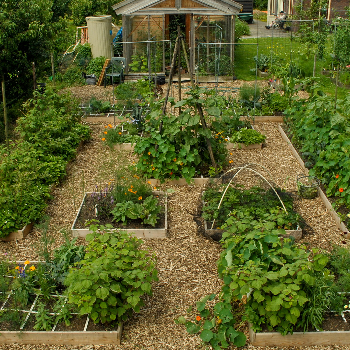 Makkelijke Moestuinbakken begin juli 2012- opgezet in eind april