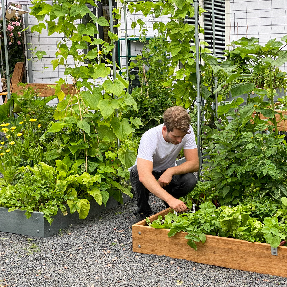 Moestuinbakken van gerecycled plastic en van dikke planken duurzaam bamboo