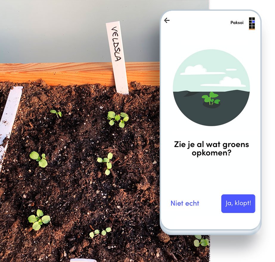 Plant-care guidance in the Makkelijke Moestuin app