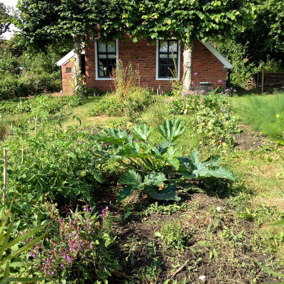 Romantische moestuin in Warffum