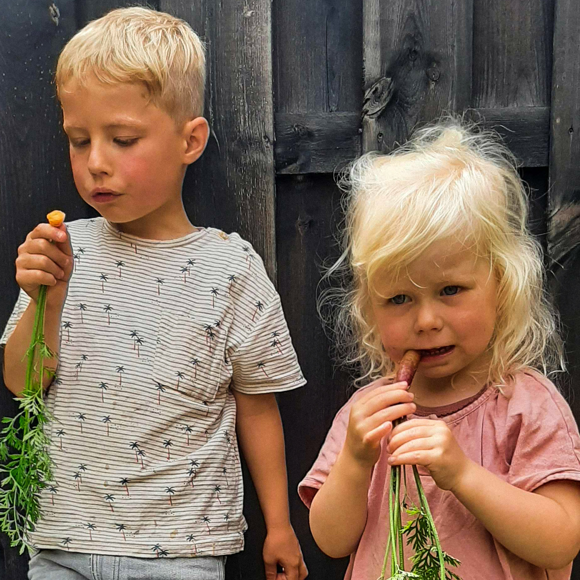 Zelf-geoogste worteltjes? Die wil je wel proeven