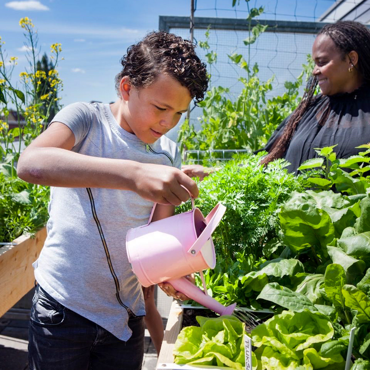 Vanaf een jaar of 8 kunnen kinderen prima zelf een moestuinbak onderhouden