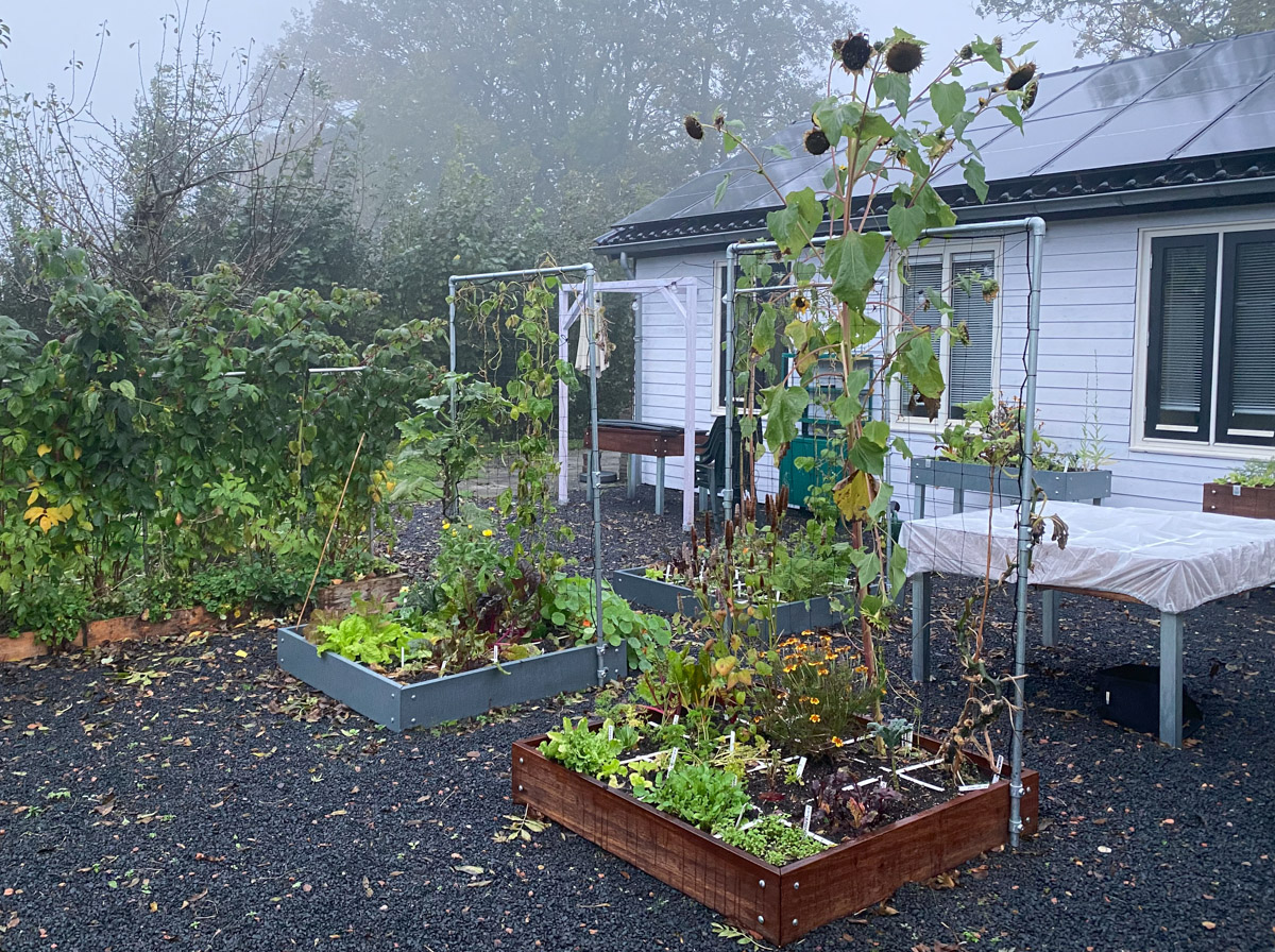 November in de Makkelijke Moestuin: ochtend mist