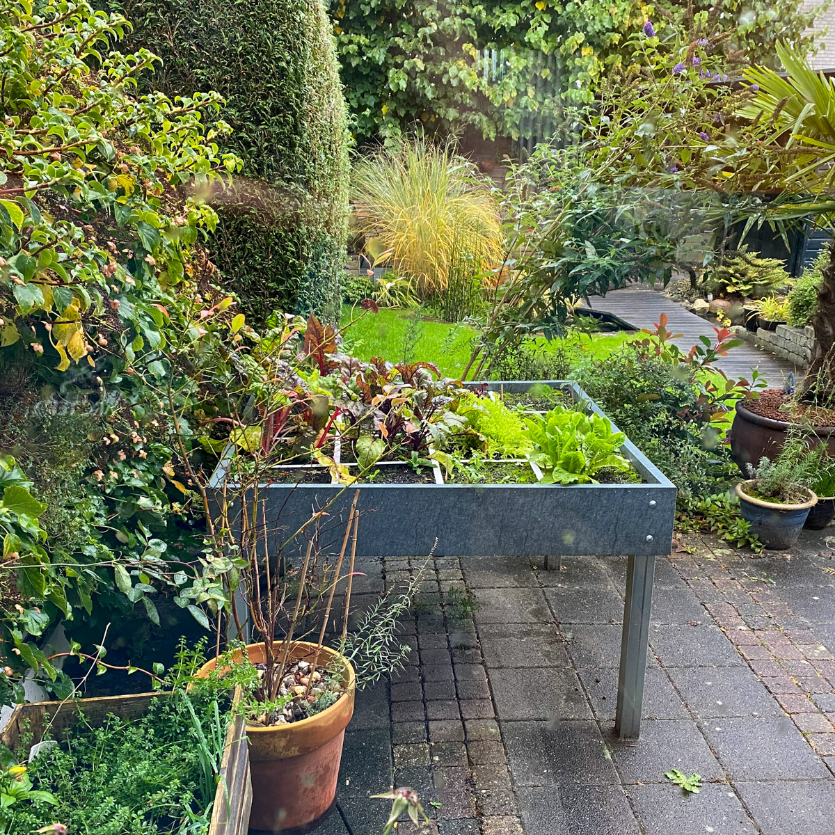 Makkelijke Moestuin Hero tafelbak in de herfsttuin van Trijnie