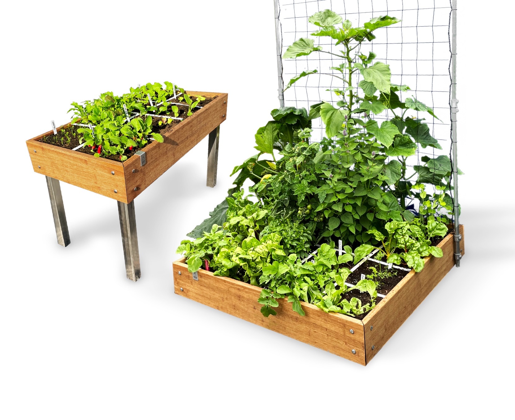 Our super deluxe MM-Bamboo starter kits are 10% off this November.