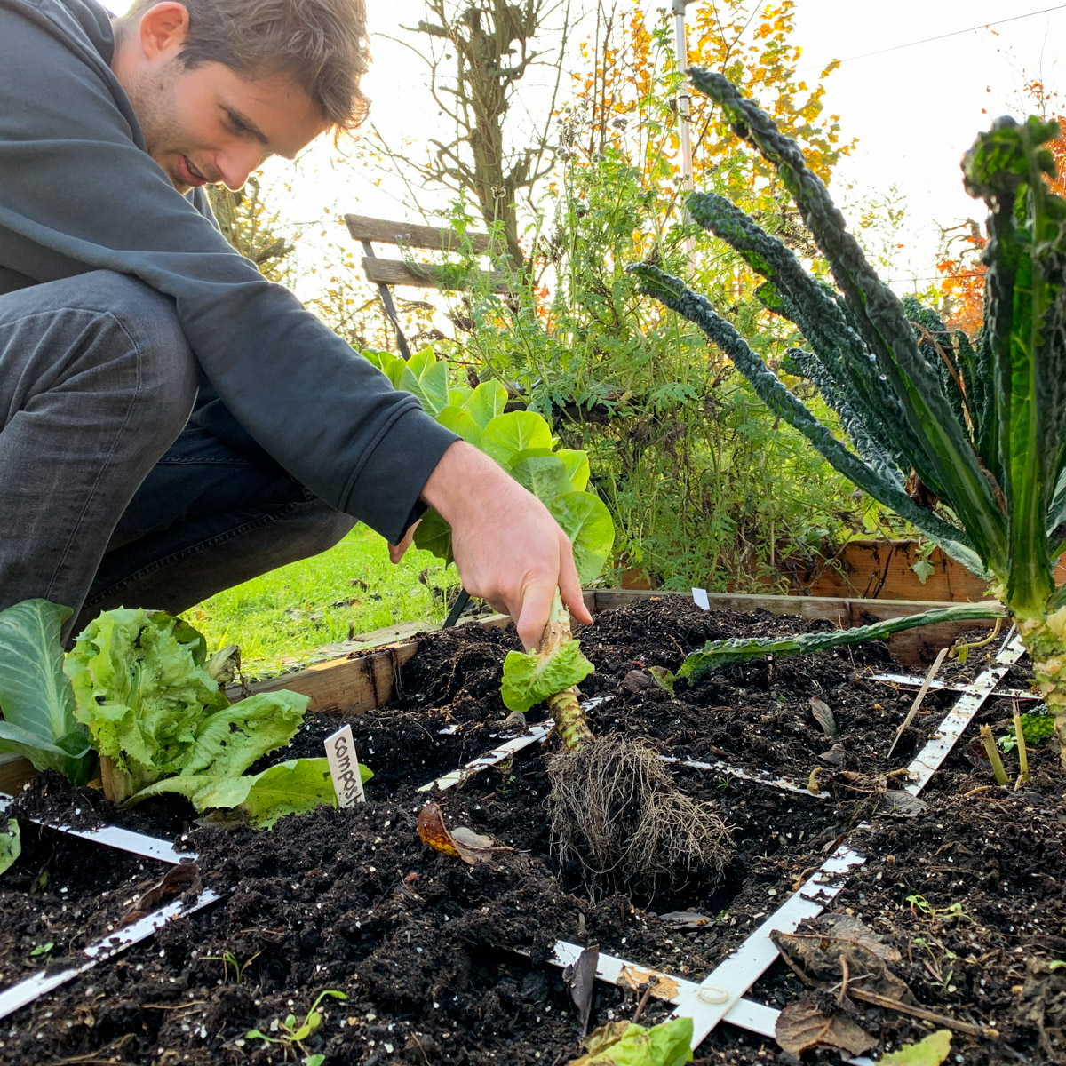 Get your garden boxes ready for winter