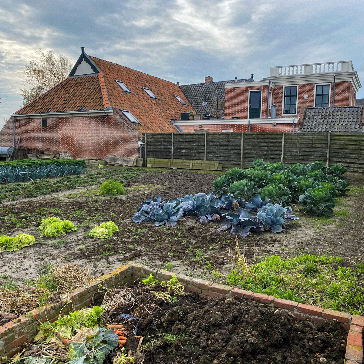A traditional vegetable garden in Noordpolderzijl, NL
