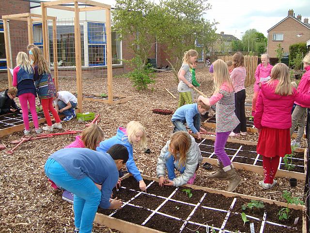 Makkelijke Moestuinbakken bij school in Sauwerd