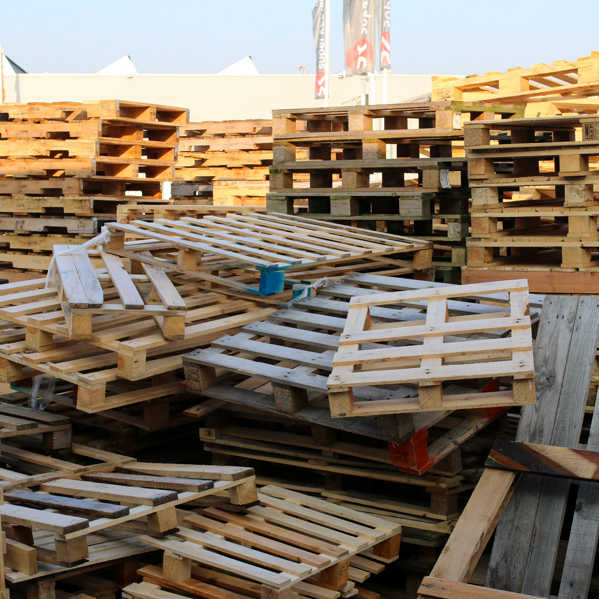 Pallets: steeds duurder door gebrek aan hout