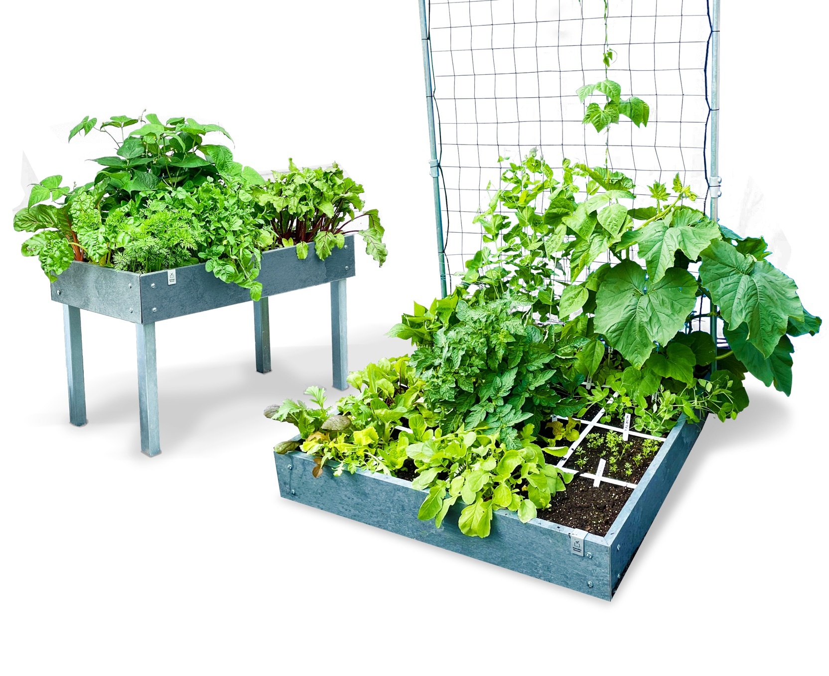 Makkelijke Moestuin Hero moestuinbakken van 100% recycled plastic