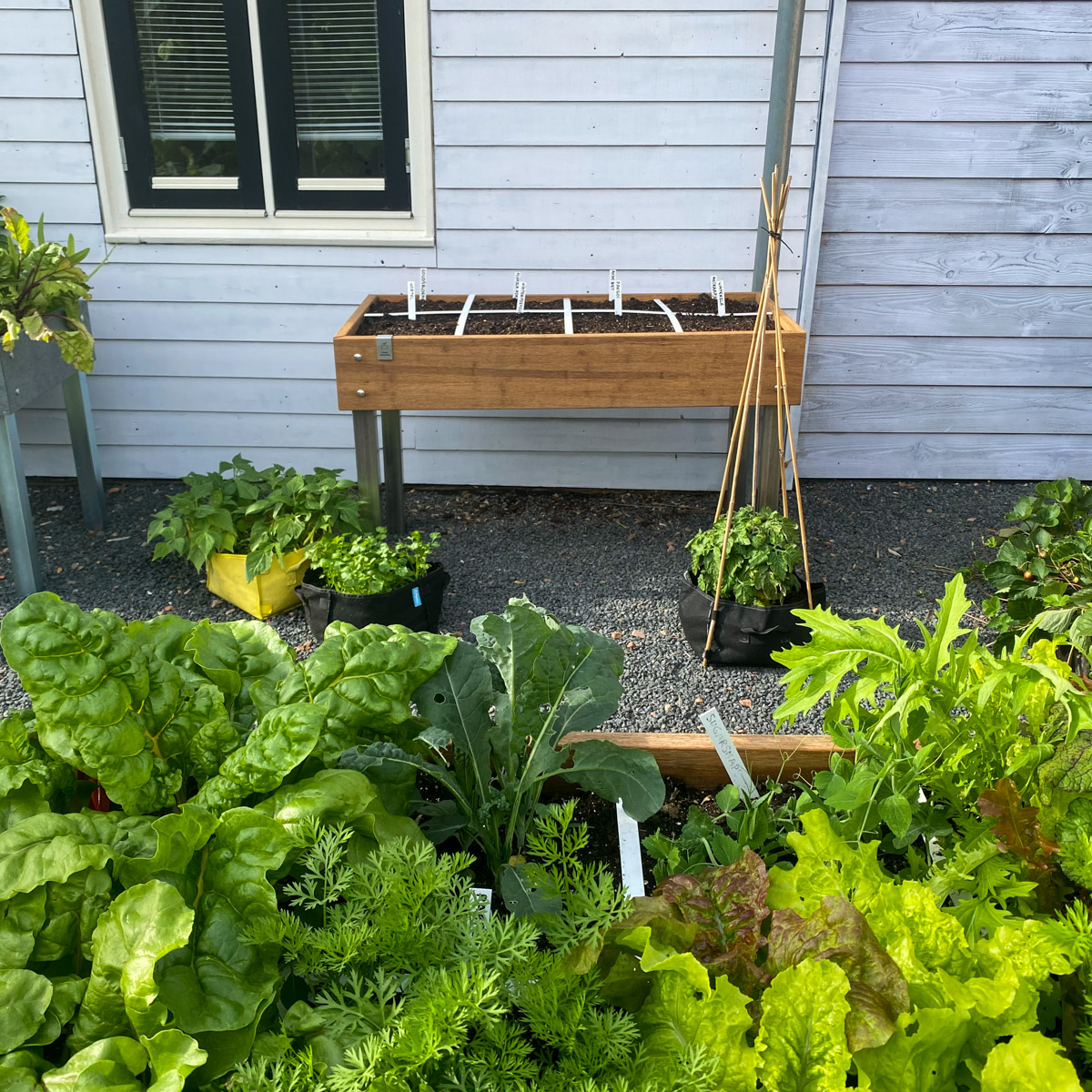 MM-bamboo moestuintafel