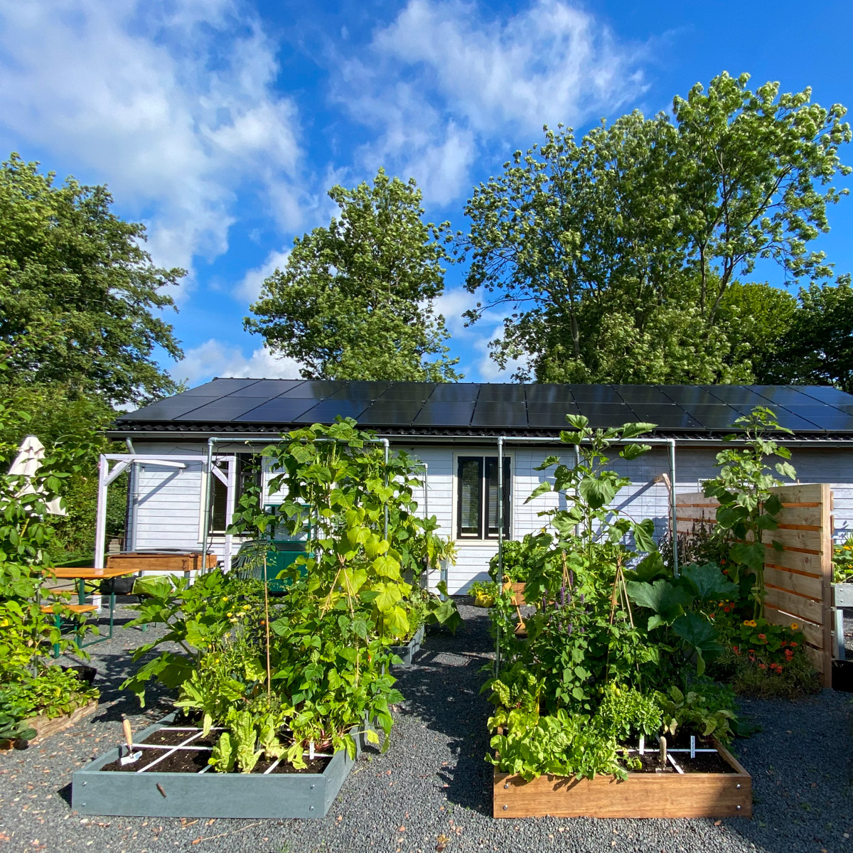 Half augustus: de tuin is compleet