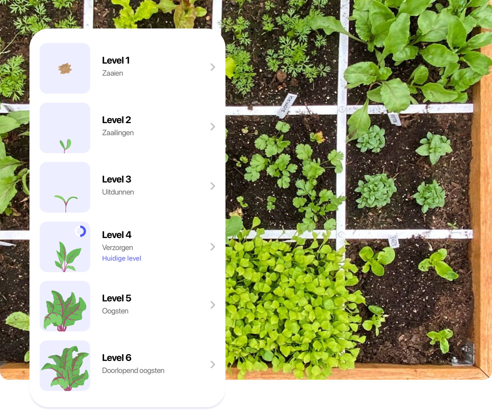 De gratis Makkelijke Moestuin app wordt ook op scholen gebruikt