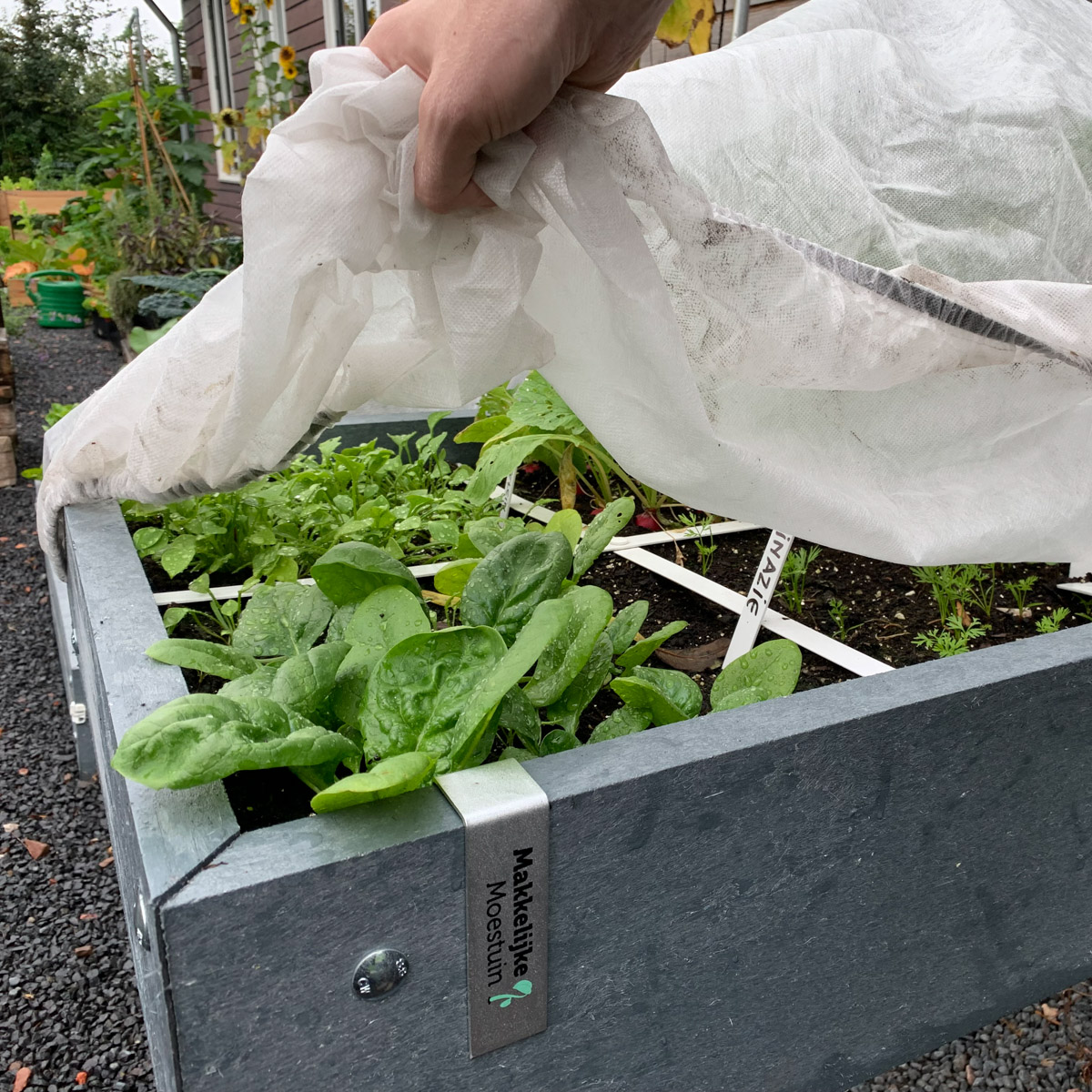 Beschermmuts voor je moestuinbak