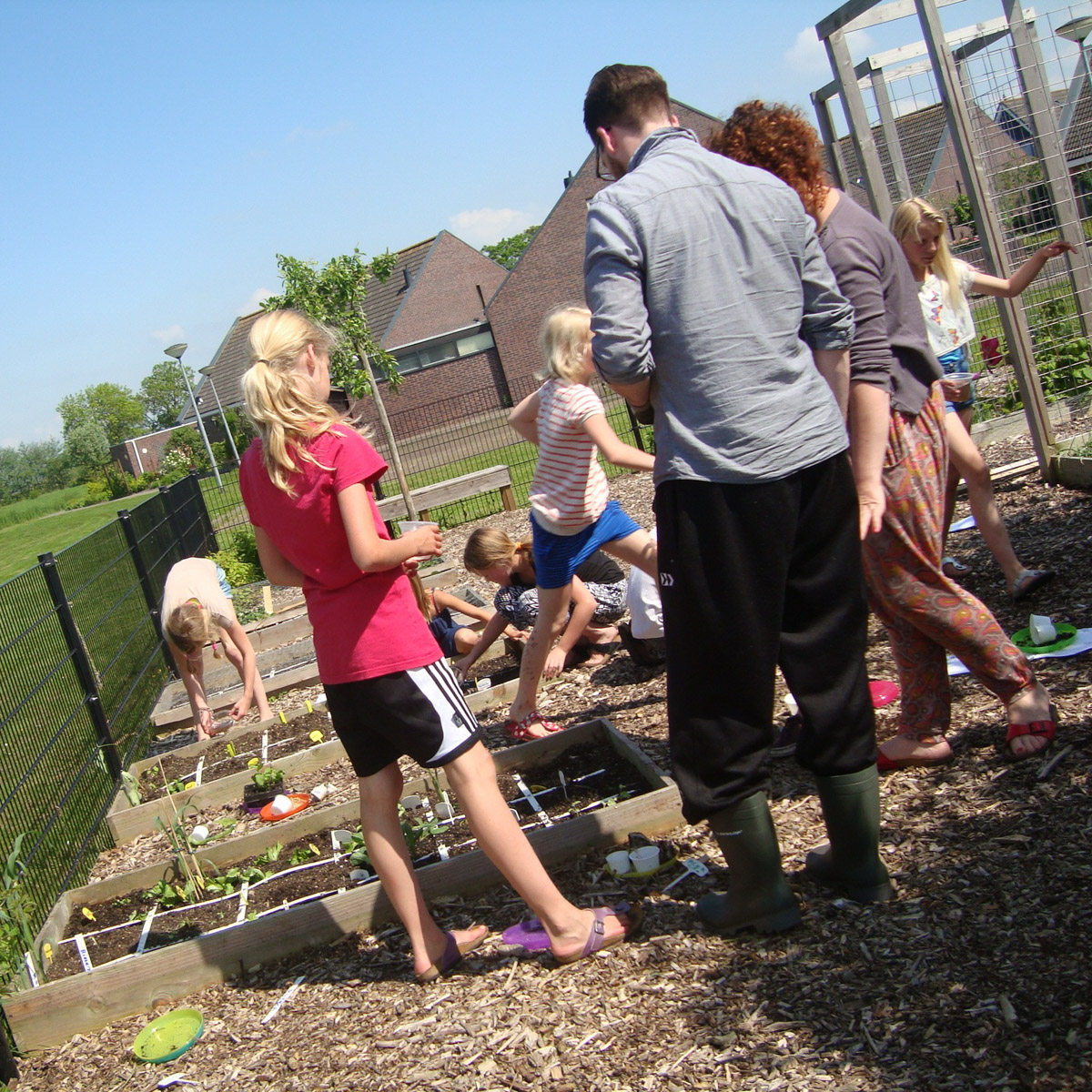 MM-schooltuin in Sauwerd