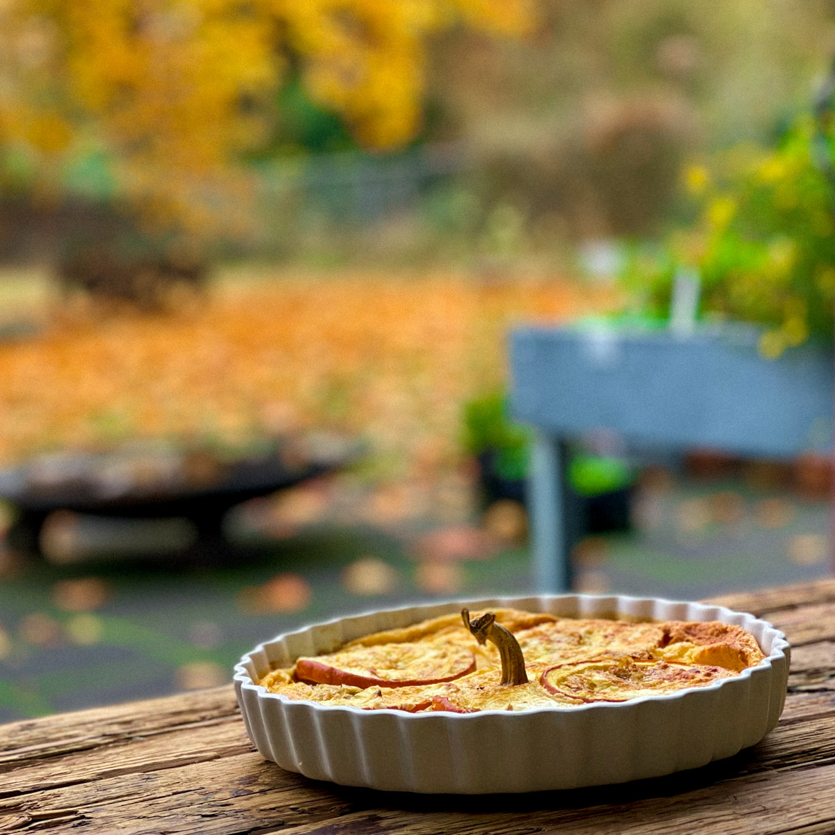 Silvia's quiche van babypompoen
