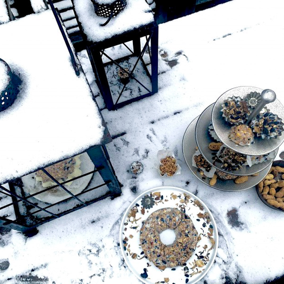 Salt-free nut cakes for the birds