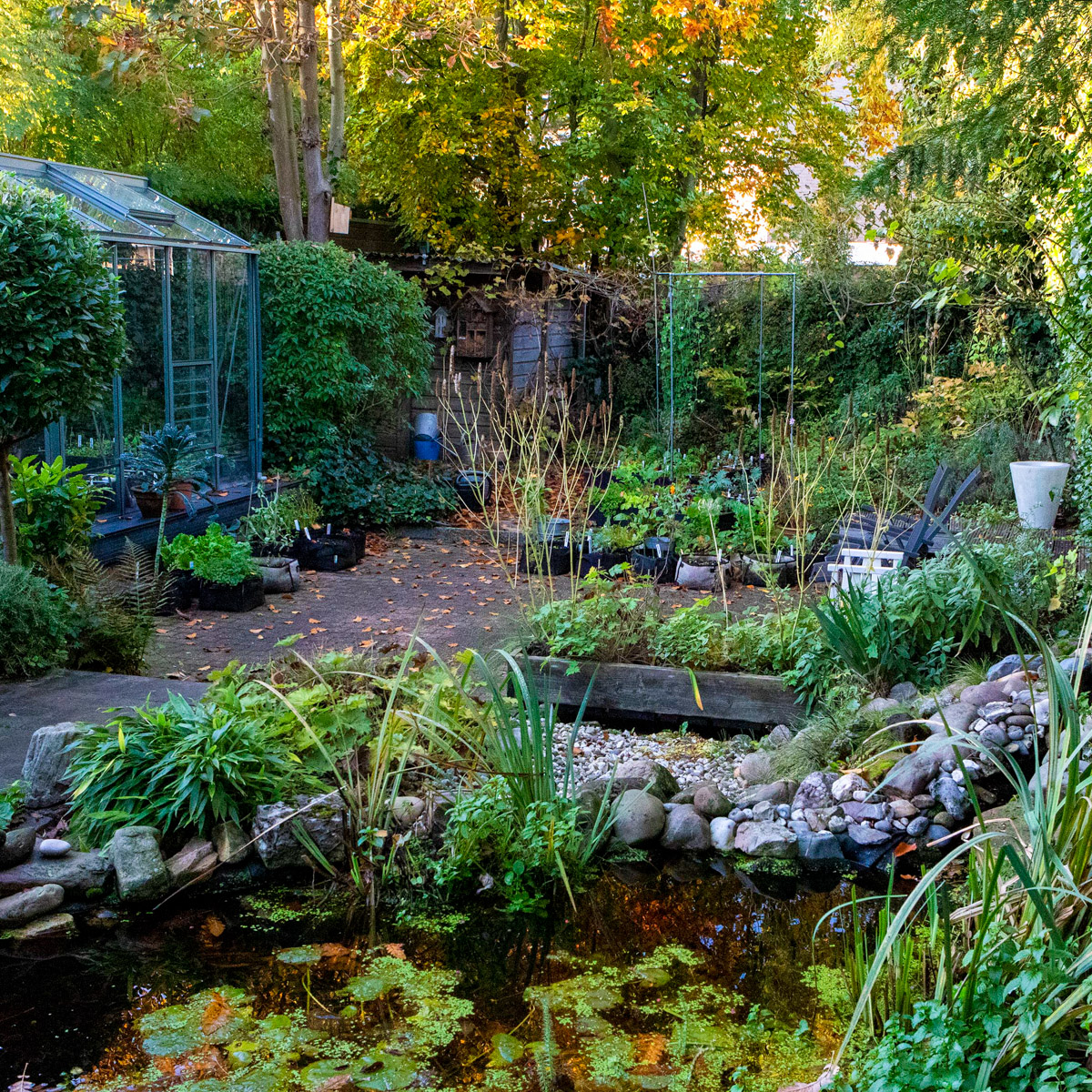 Pliens Makkelijke Moestuin - begin november