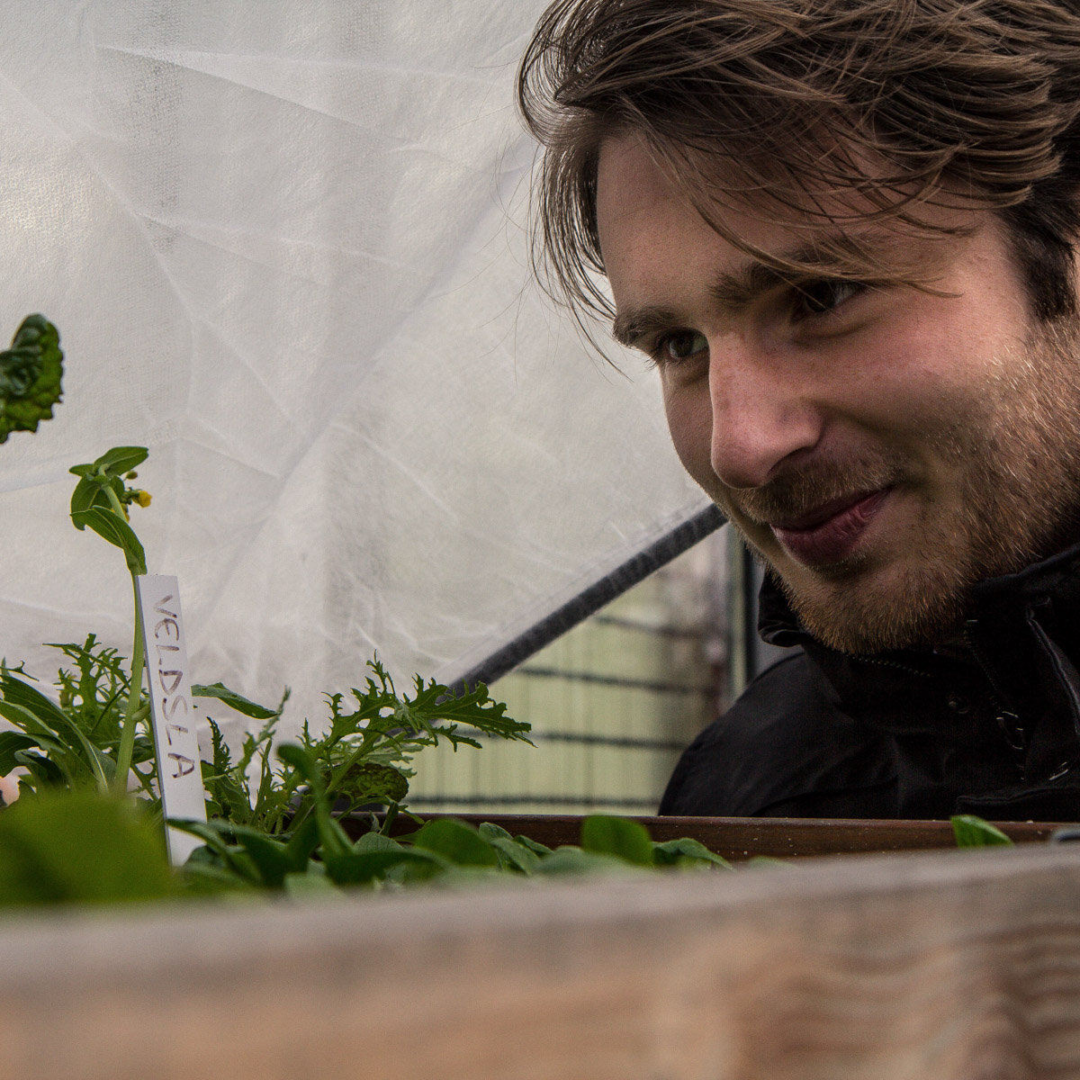 Plantjes kijken onder de moestuinmuts