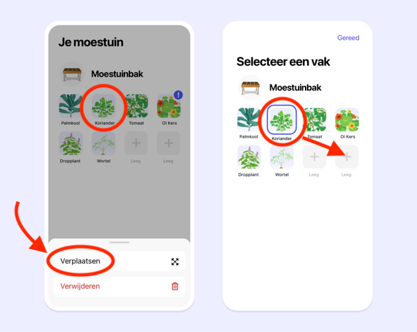 Snel inzaaien van een bestaande plant