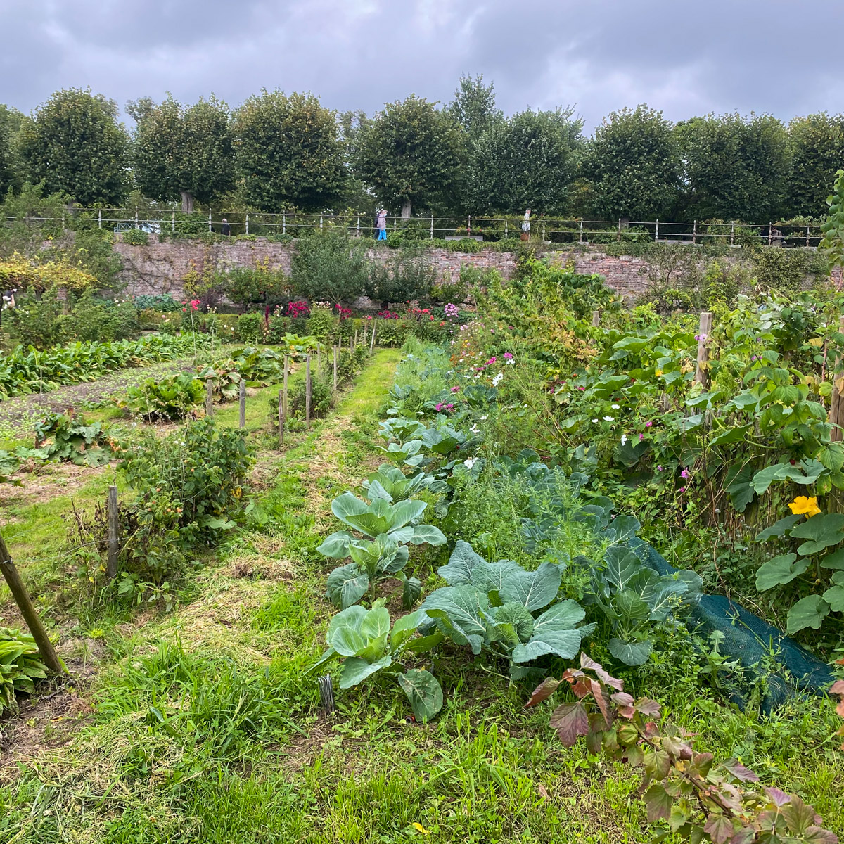 Grote traditionele moestuin bij landhuis