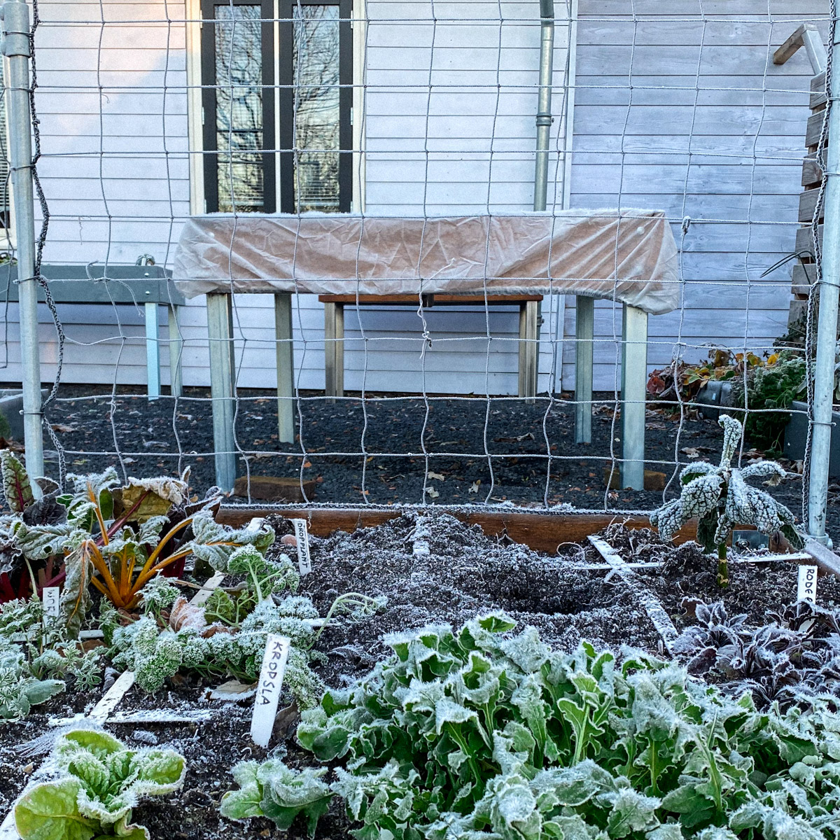 The MM-Muts covers your garden box and fits perfectly to protect your plants from extreme cold.