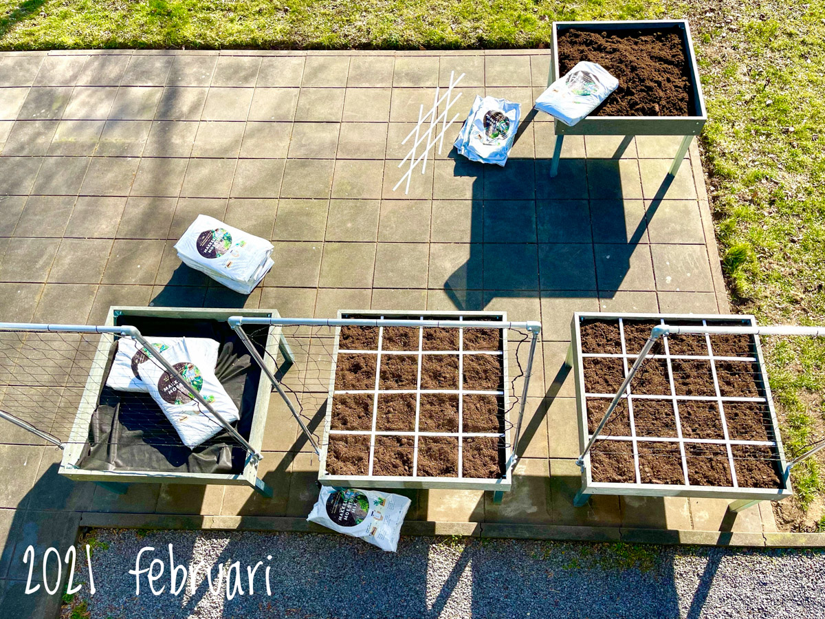 Start Makkelijke Moestuin in februari 2021