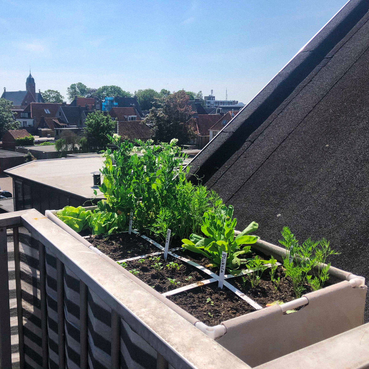 Makkelijke Moestuin van één van de deelnemers aan Laura's project.