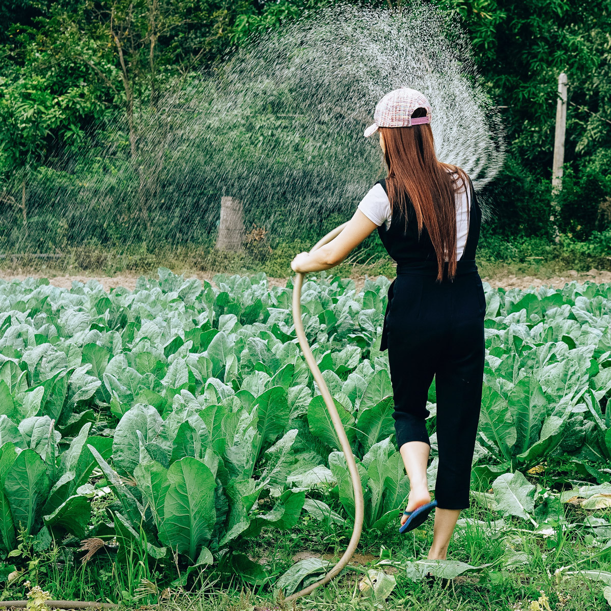 Water geven in een moestuin is vaak niet efficient.