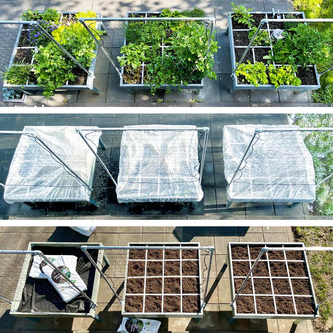 Van Makkelijke Moestuinbakken opzetten in februari naar volop oogsten in juni
