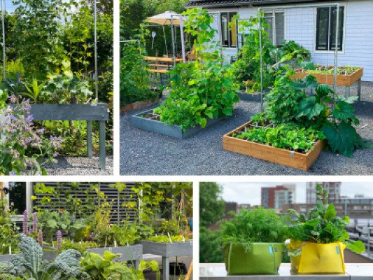 Plan jouw moestuin op maat
