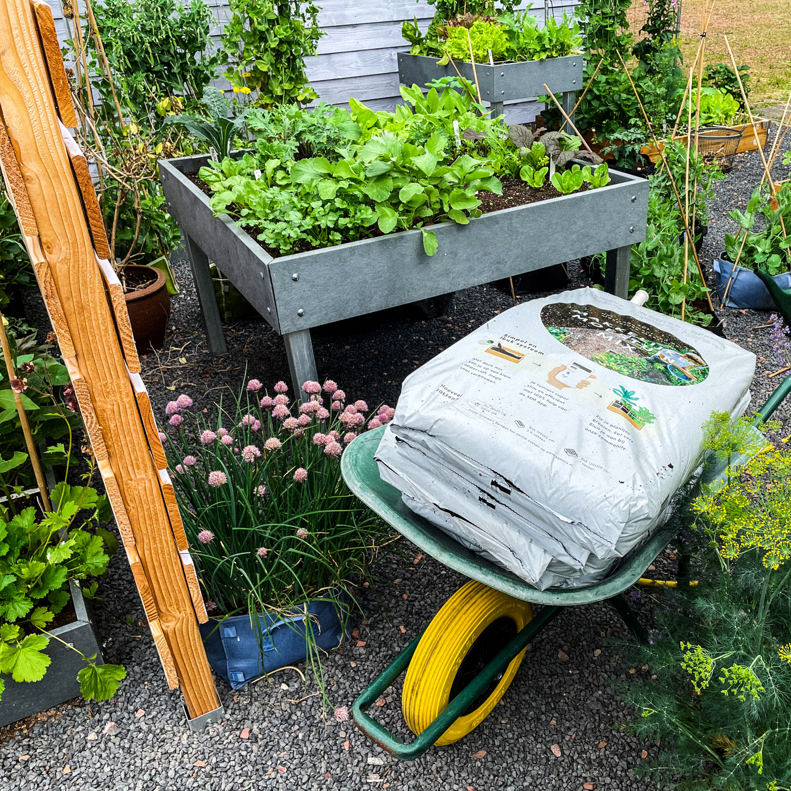 Makkelijke Moestuinmix