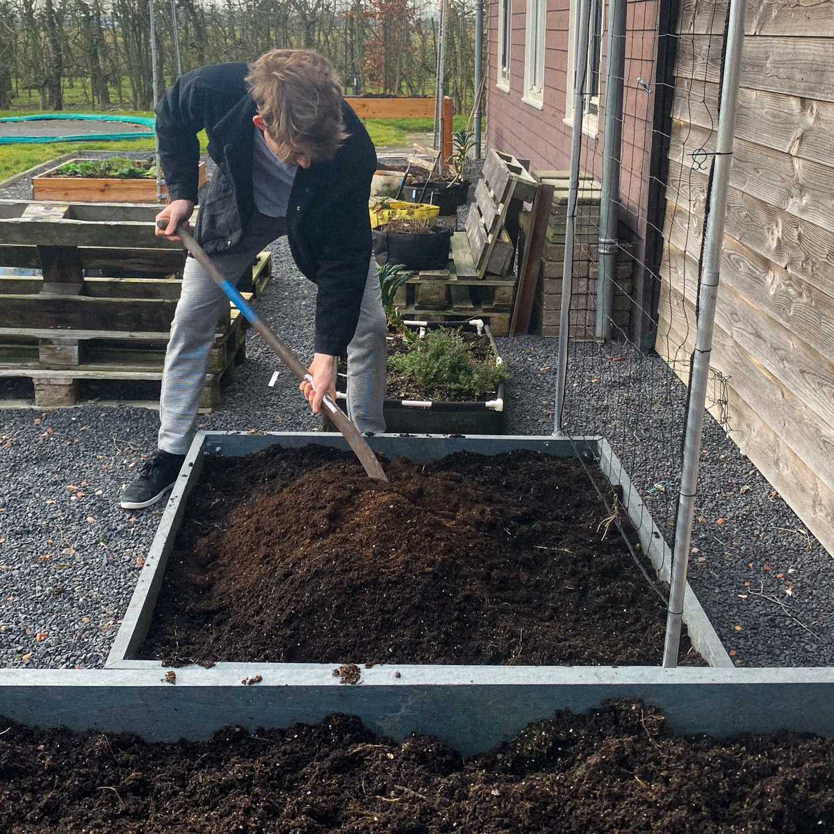 Moestuinbakken van vorig jaar weer klaarmaken voor het nieuwe seizoen