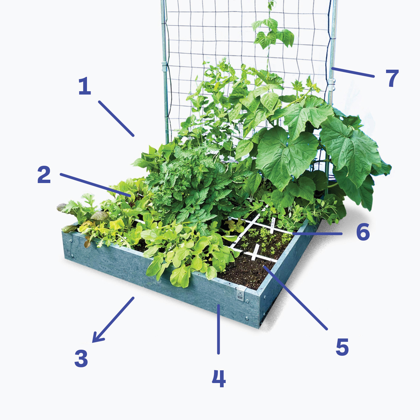 Waar moet een echte Makkelijke Moestuinbak aan voldoen?