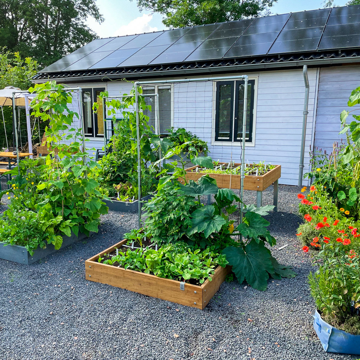 Makkelijke Moestuin op 19 juli: opgezet en ingezaaid van 1 mei t/m 1 juli