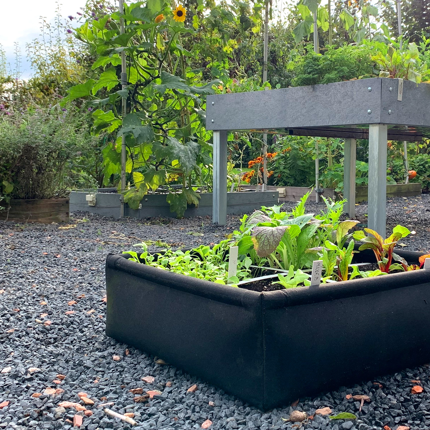 MM-Air grow bag