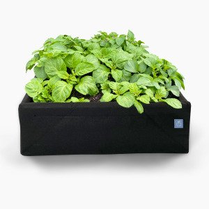 MM-Air grow bag