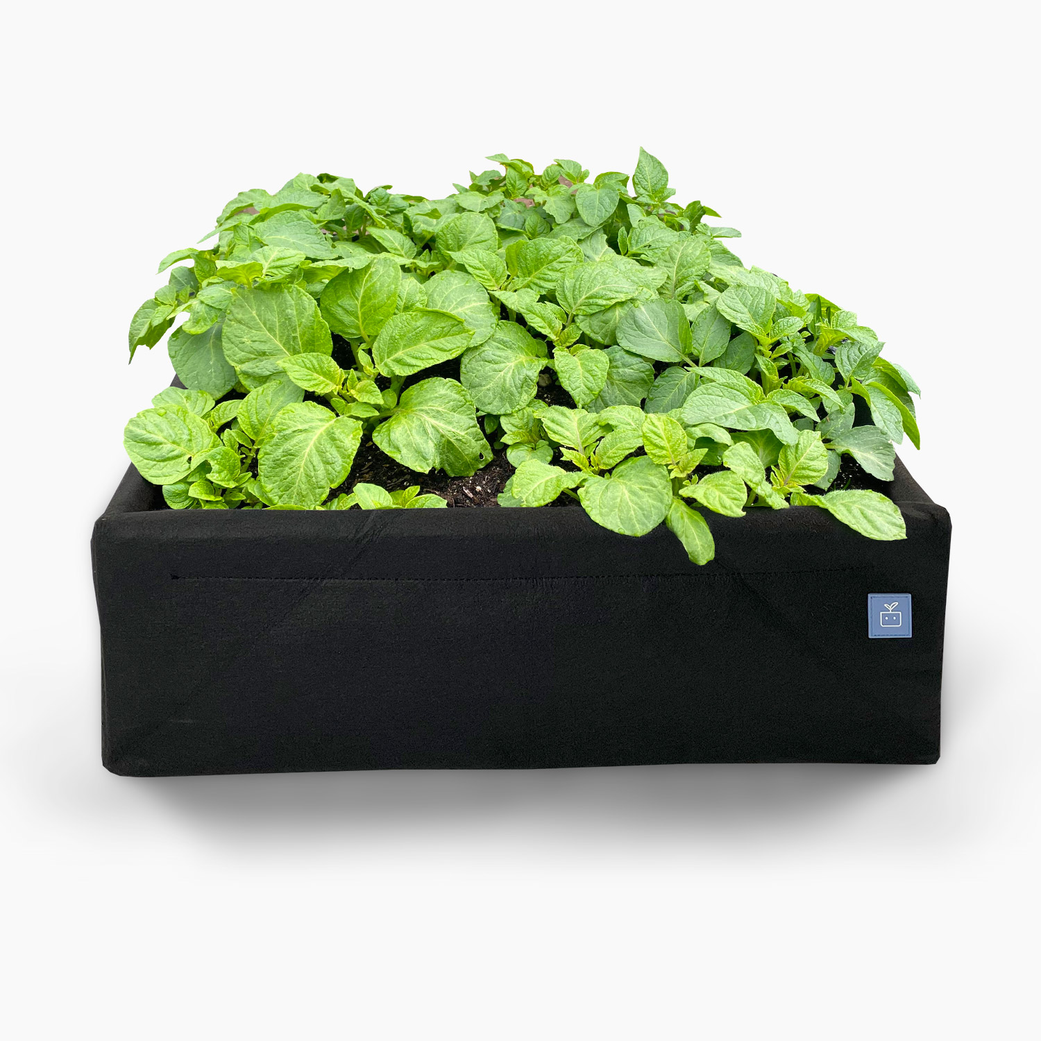 MM-Air grow bag